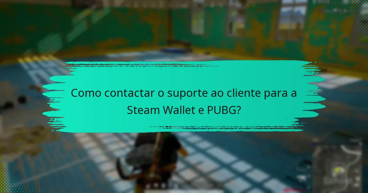 Como resolver problemas com a Steam Wallet no PUBG?