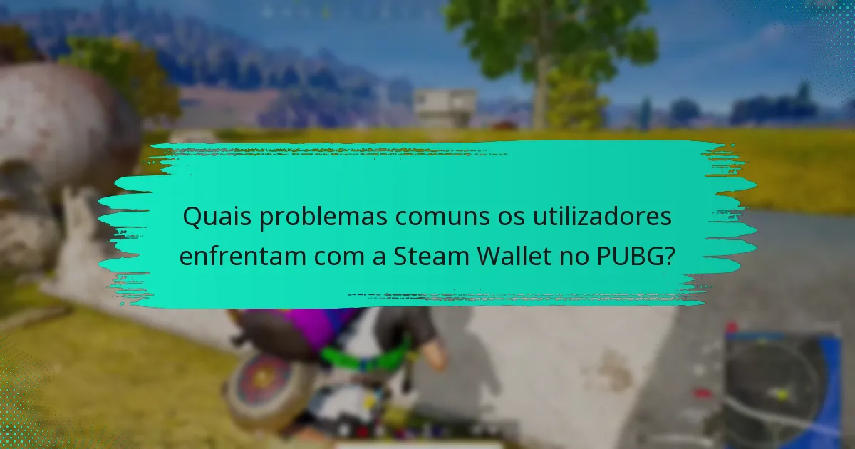 Como a Steam Wallet se compara a outros métodos de pagamento para PUBG?