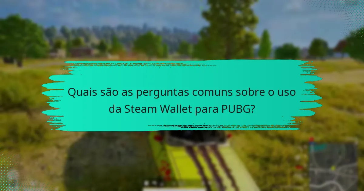 Quais são as políticas relativas ao uso da Steam Wallet para PUBG?